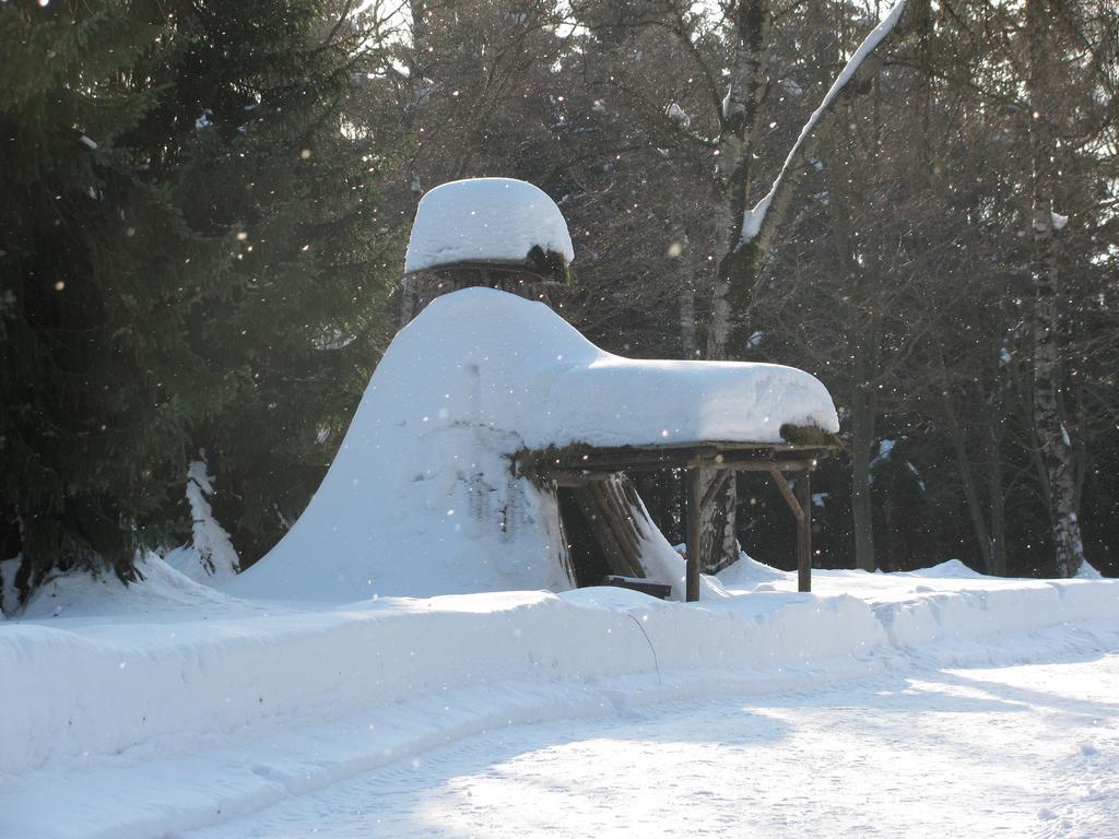 Hotel Kilian Braunlage Eksteriør bilde